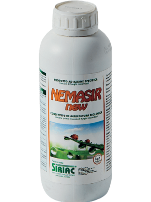 NEMASIR NEW