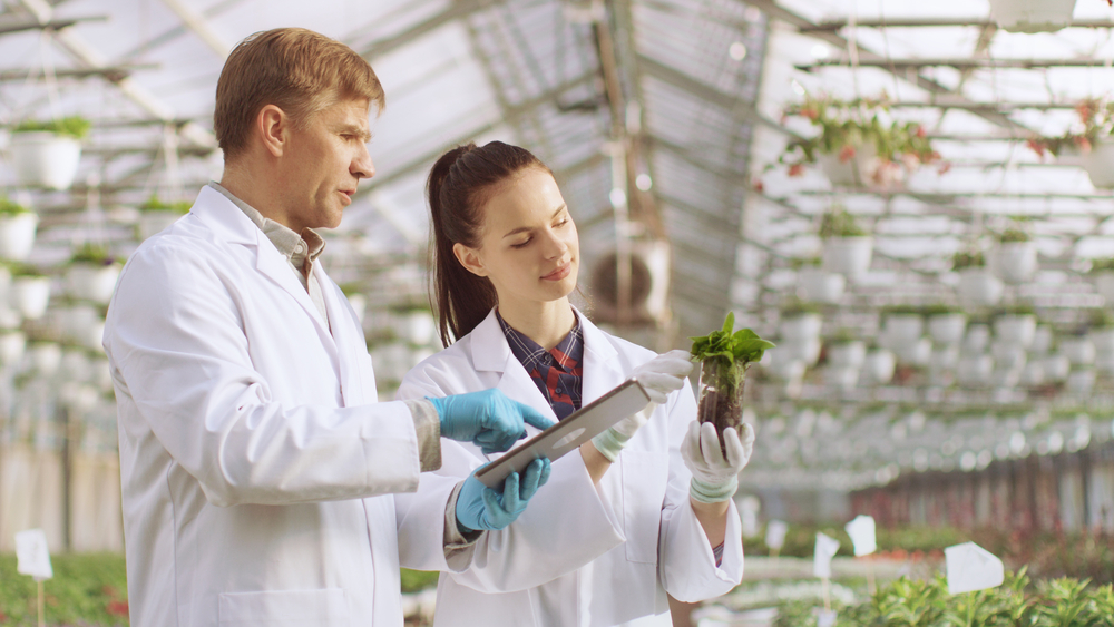 Vita Chemie - Company -