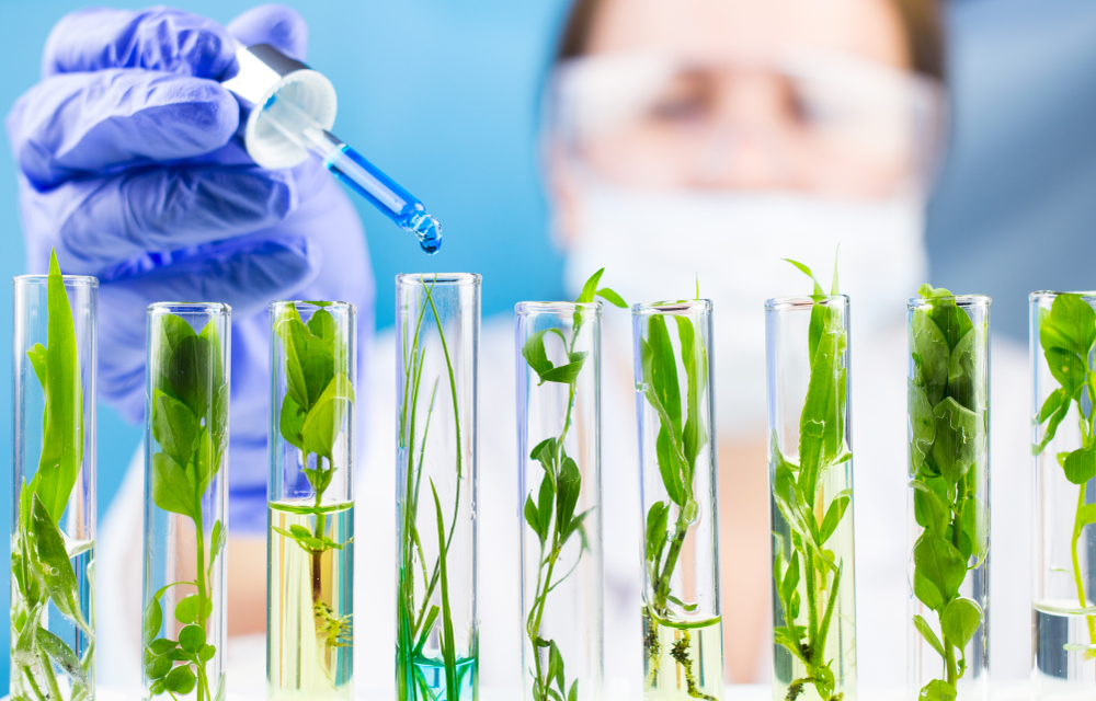 Vita Chemie - Company -